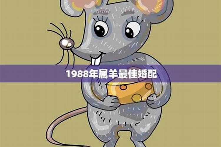 1988年与什么属相般配