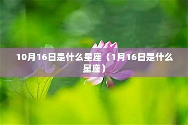 1月16日是什么星座女生生日