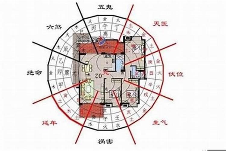 7岁属什么生肖2019