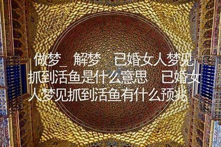 已婚女人梦见抓到鱼是什么征兆