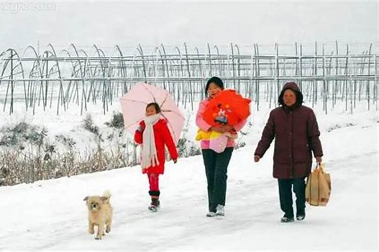 哪年腊月十九下雪