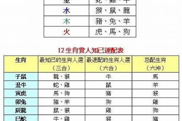 24岁的属相是属什么的