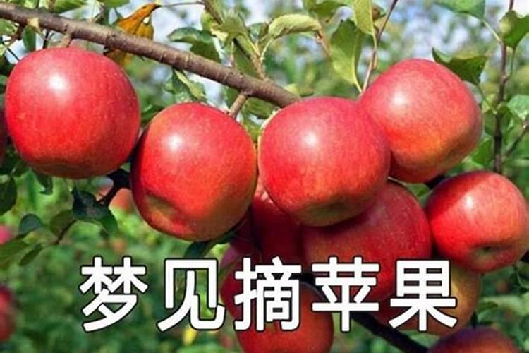 两个人合不合看生肖还是八字