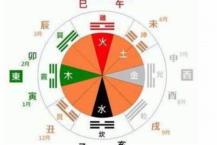 荀的五行属性是什么