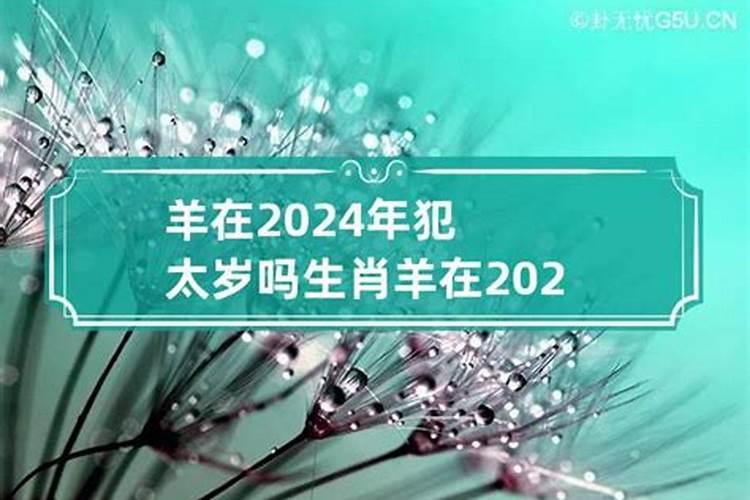 属羊的在2024年的运势好不好呢羊