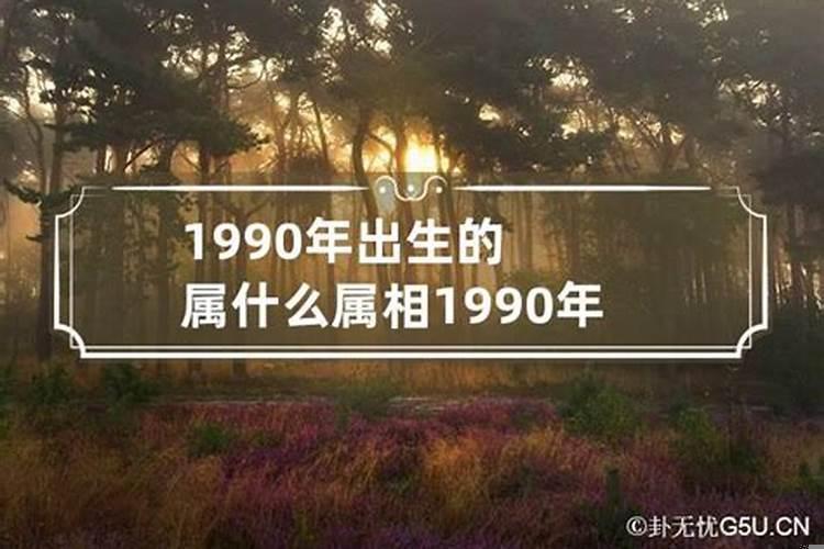 1990年出生属什么