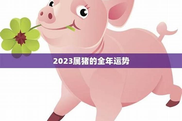 属猪的今年运势怎么样2023年