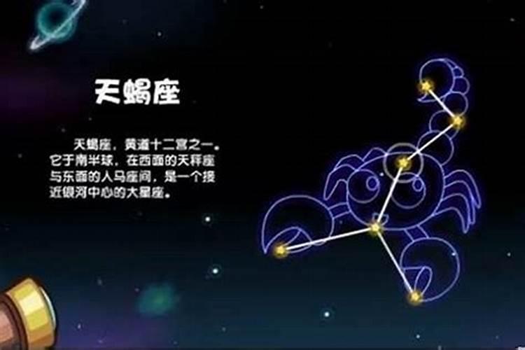 天蝎座跟哪个星座最配最幸福