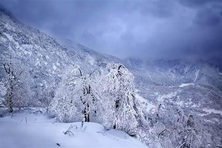 梦见下雪雪山是什么意思呢