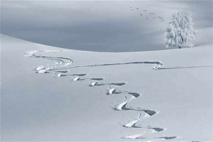 梦到在山上下雪