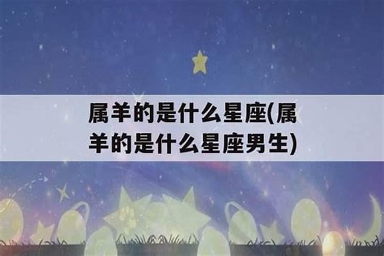 属羊的是什么星座男生