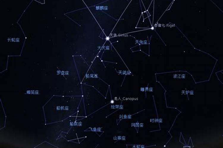 星座中天顶是什么意思