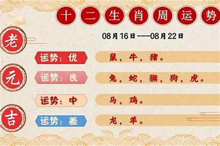 属马到2021年多大年龄