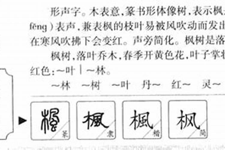 青字五行属什么