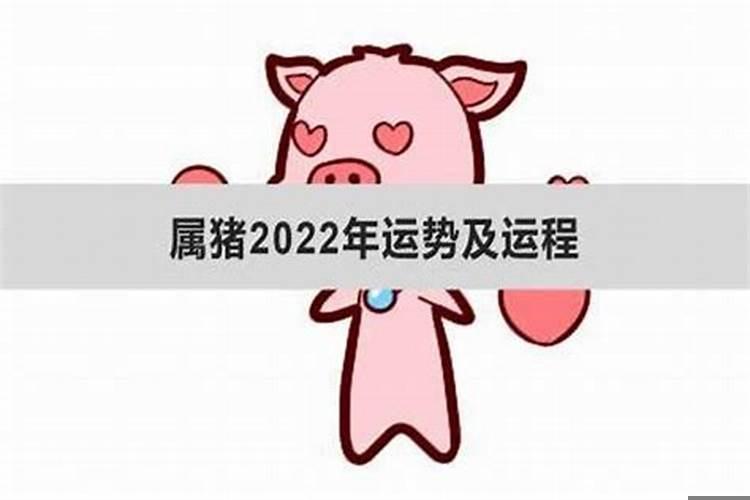 83年属猪2022年每月运势完整版