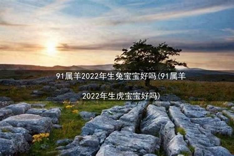 2022年生的小孩属什么生肖