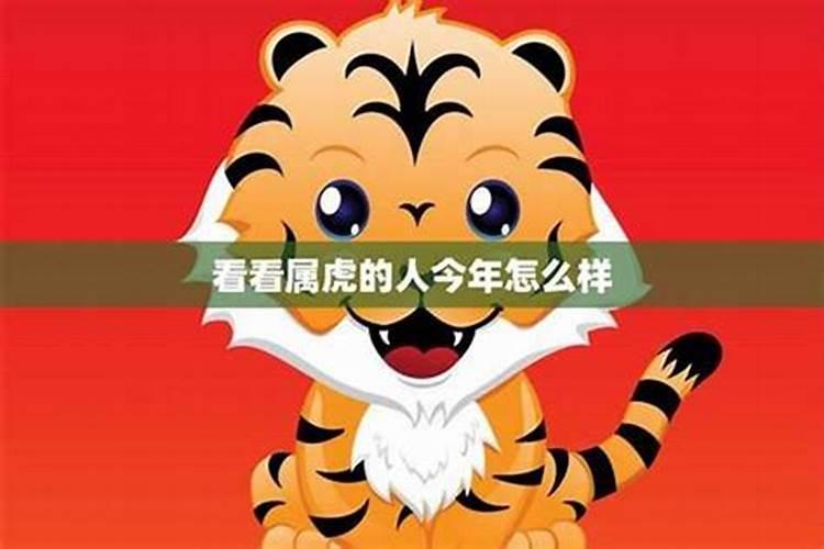 属虎的2022年的运势