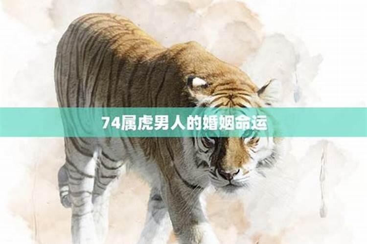 猪和蛇做生意合不合财