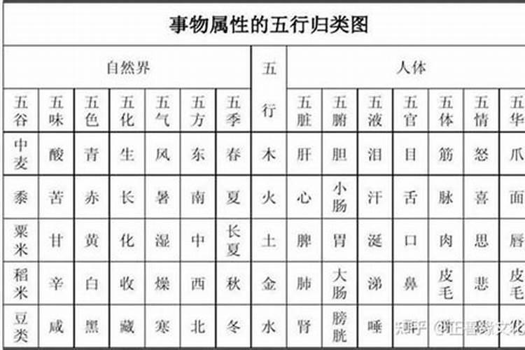 电子手表五行属什么意思