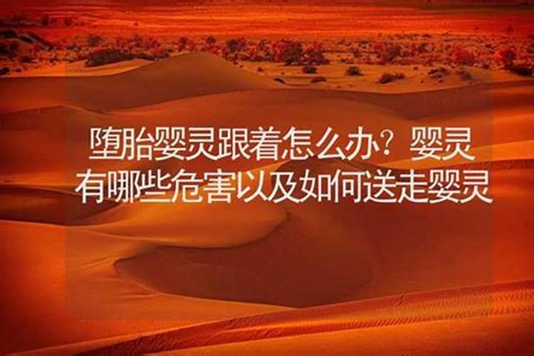 梦到别人结婚是代表什么生肖