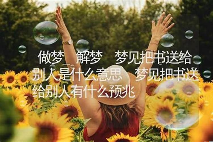 生肖女狗今年感情运势如何