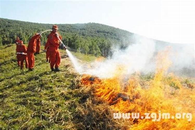 梦见大火烧房子是什么意思用水浇灭火灾逃生