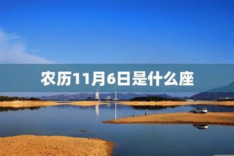 11月16日是什么星座农历