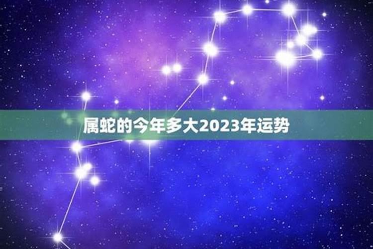 2023年属蛇多少岁