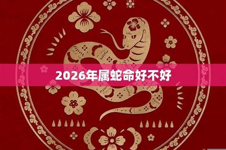 2026年属蛇人运势运程