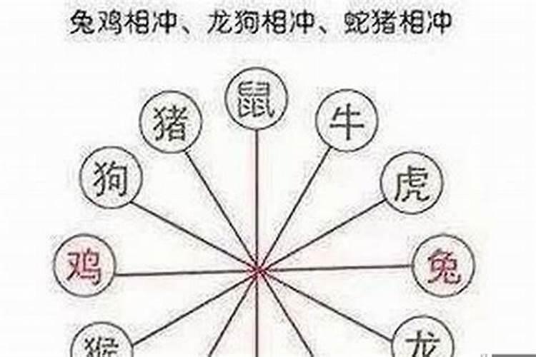 属马的和什么属相相冲