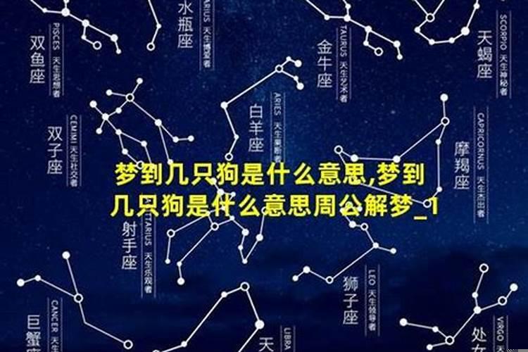 梦见好几只狗什么意思周公解梦