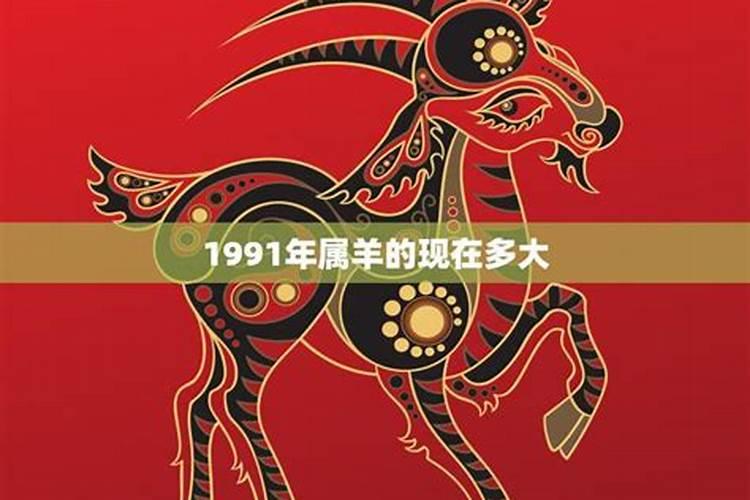 1991年属羊人2023年运势男性