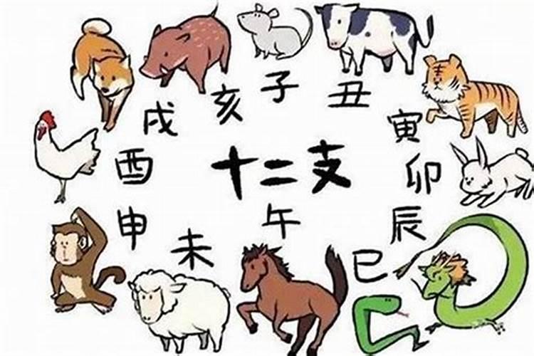 早出晚归的动物猜生肖