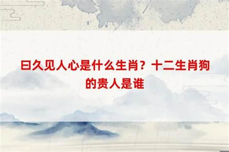 做梦梦到古墓是什么意思周公解梦