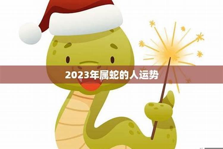 属蛇运势2022年运势每月运势