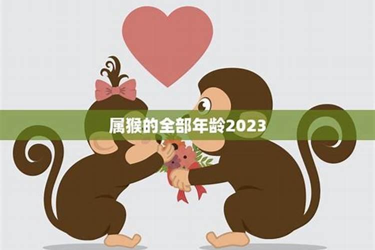 2020年属猴的年龄表