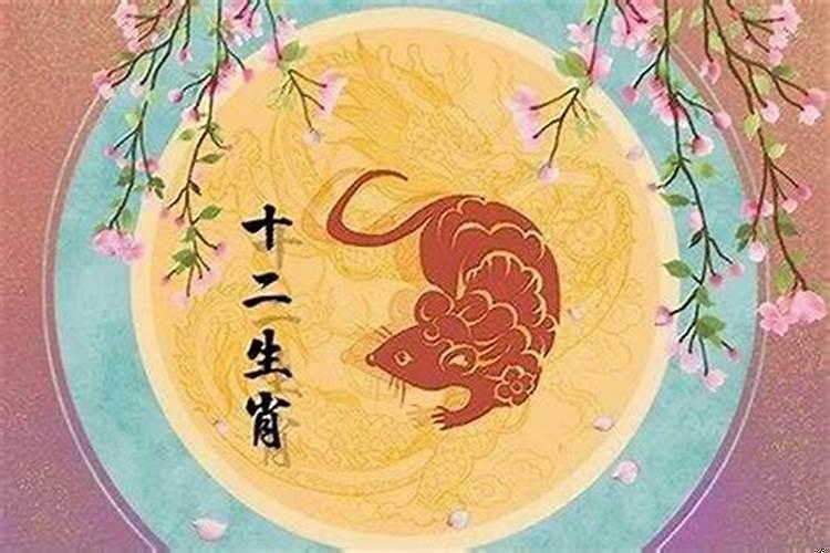 属鼠的年龄今年多大