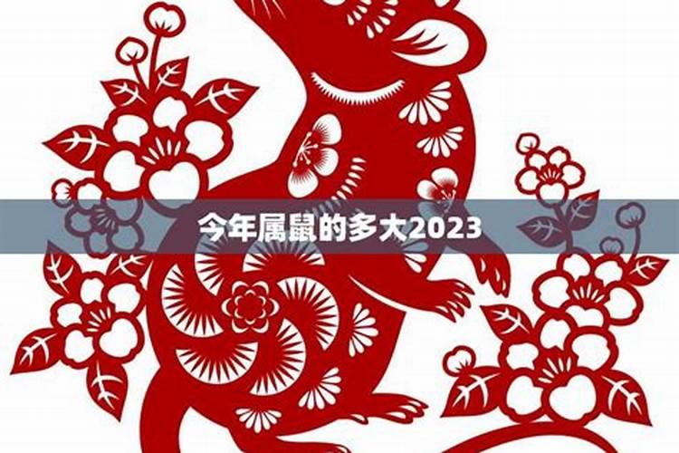 2027年属鼠的有多少岁