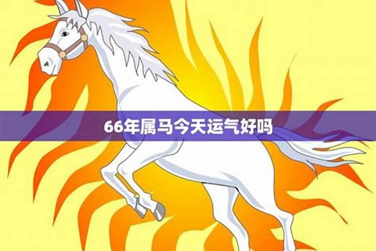 66年属马人今年运势怎么样