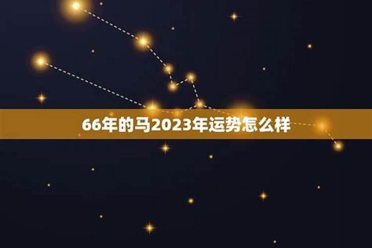 66年的马今年的运势