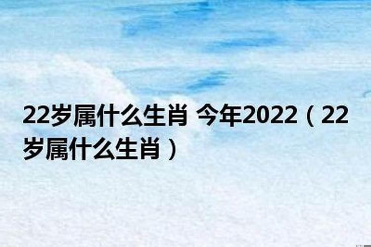 年龄22岁属相