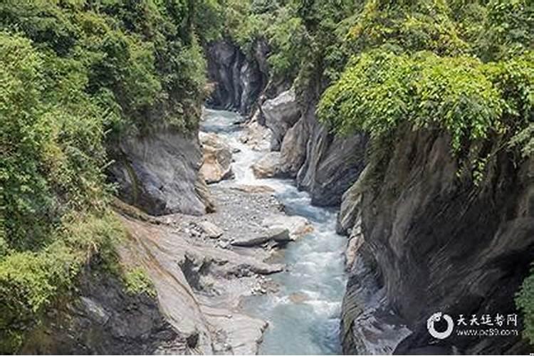 属猪适合居住哪个方向