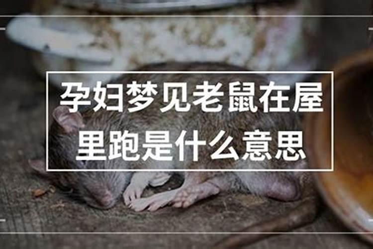 梦见别人家养猫是什么意思