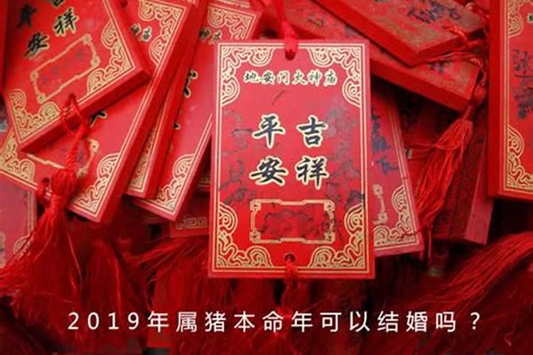 属兔2023年兔运势运程如何