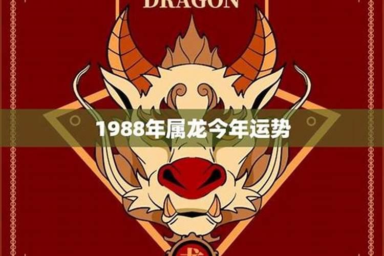 1988年属龙今年多大2022