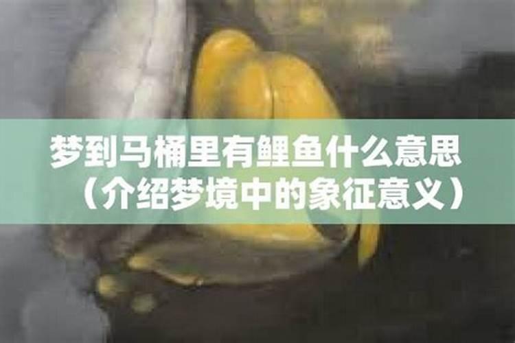 做梦梦到和父母吵架打架