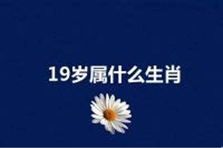 1999年21岁属什么生肖