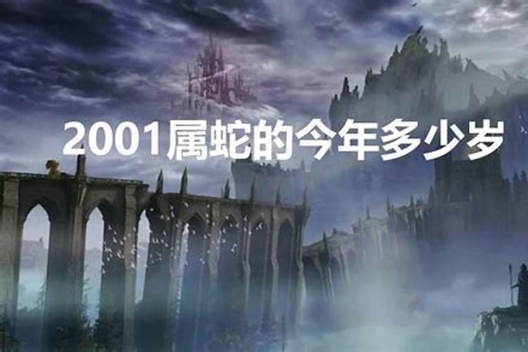 2001年属蛇今年多少周岁