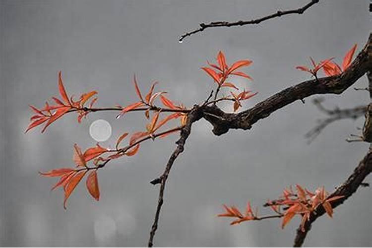 害太岁刑太岁怎么办呢