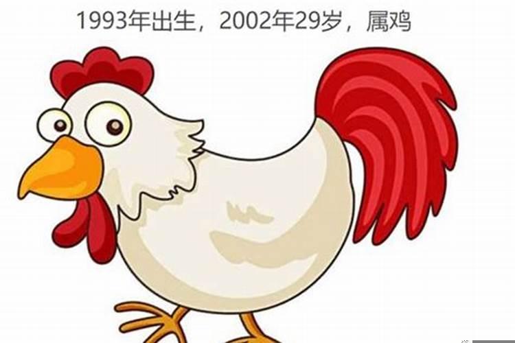 属鸡今年多大了岁数表